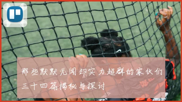 那些默默无闻却实力超群的家伙们三十四篇揭秘与探讨