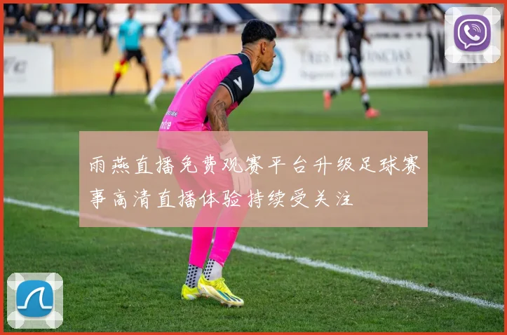 雨燕直播免费观赛平台升级足球赛事高清直播体验持续受关注