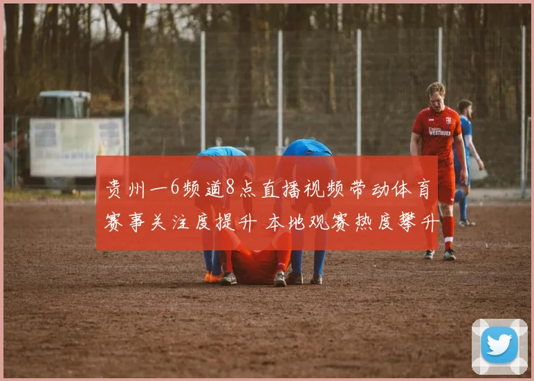 贵州一6频道8点直播视频带动体育赛事关注度提升 本地观赛热度攀升